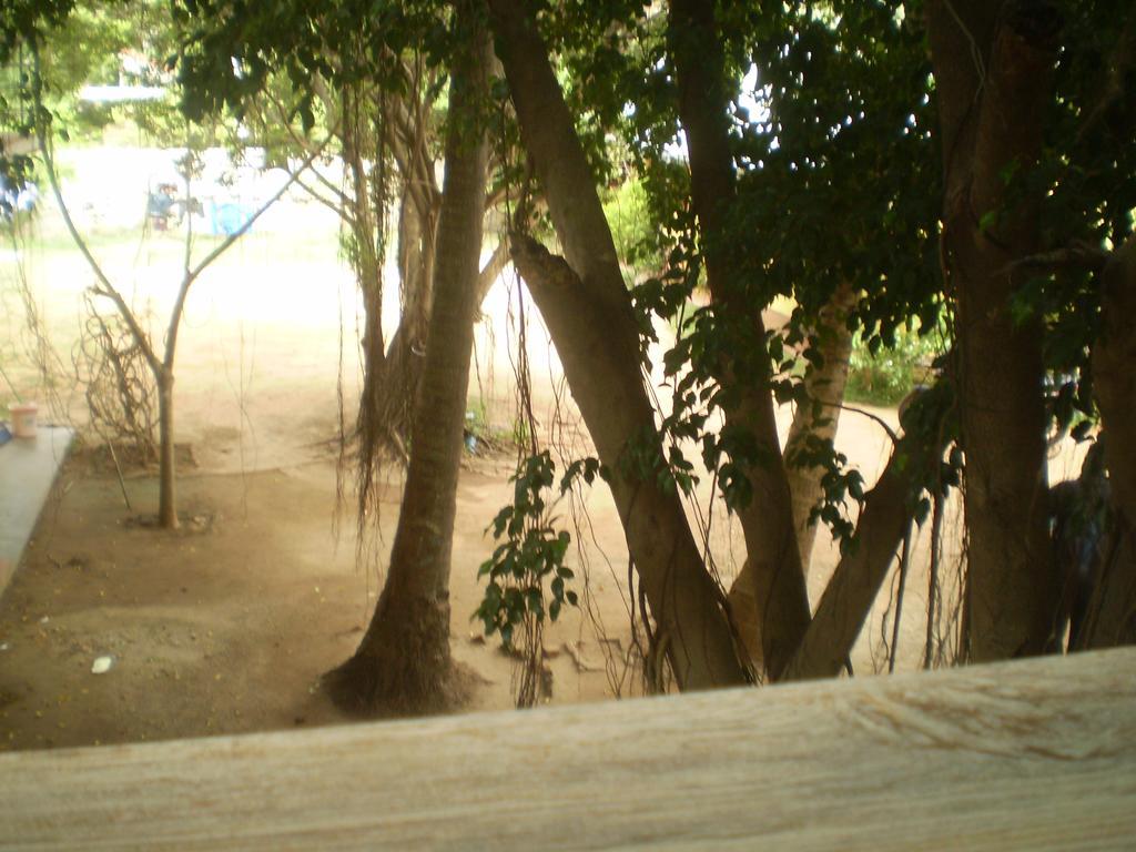 Hotel Pearl Gate Chilaw Eksteriør billede